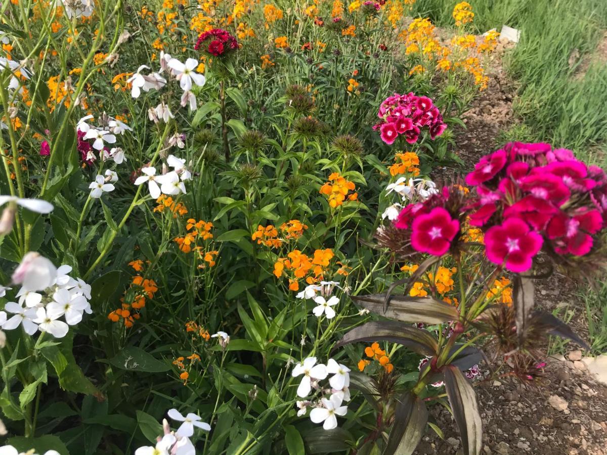 Bed and Breakfast "Un Matin Au Jardin" Francorchamps Esterno foto