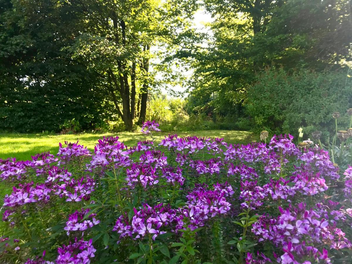 Bed and Breakfast "Un Matin Au Jardin" Francorchamps Esterno foto